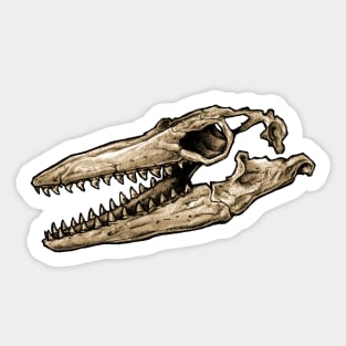 Dinosaur Skull Mosasaurus Sticker Sticker